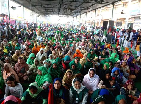 New Delhi Farmers From Punjab And Haryana Gather At Singhu Border To