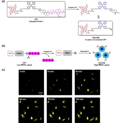 Recent Advances In The Enzyme‐activatable Organic Fluorescent Probes