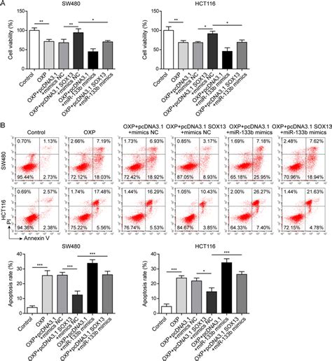 Mir 133b Inhibited The Resistance Of Crc Cells To Oxp Sw480 Or Hct116