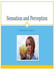 Understanding Sensation And Perception The Brain S Role In Course Hero