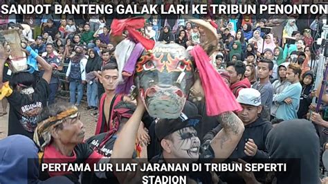 BANTENG SURO NGAMUK KE TRIBUN PENONTONLIAT JARANAN SEPERTI LIAT BOLA