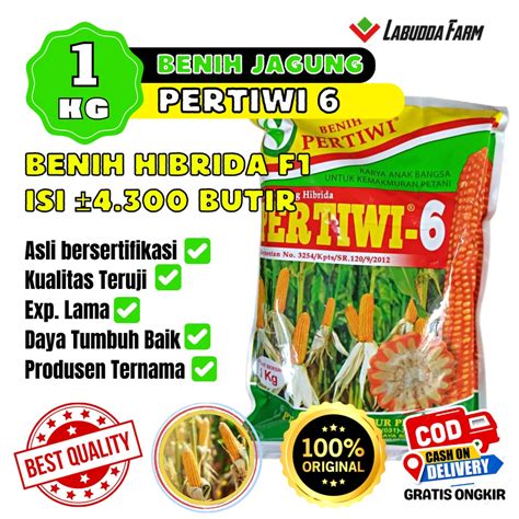 Jual Benih Jagung Pertiwi 6 Bibit Jagung Hibrida 1 Kg F1 Benih Jagong