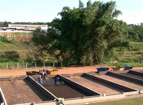 Rede Globo Rpc Caminhos Do Campo Deste Domingo Vai Mostrar O