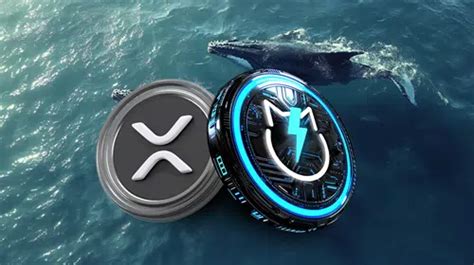 Ripple XRP Whale Moves 30 Million XRP From Cefi Exchange Sparking