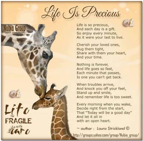 Life Is Precious Quotes. QuotesGram