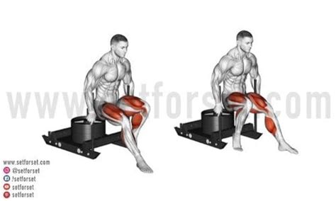 Sled Push & Pull: Benefits, Muscles Worked, & Variations - SET FOR SET