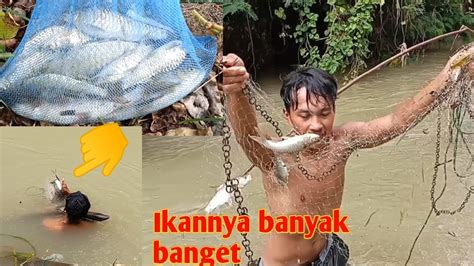 Menjaring Ikan Dapat Lumayan Banyak Youtube