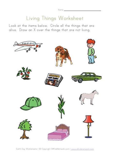 Living Things Printable | Earth day worksheets, Worksheets, Science worksheets