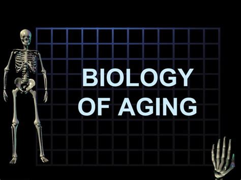 Biology Of Aging Key Concepts Ppt