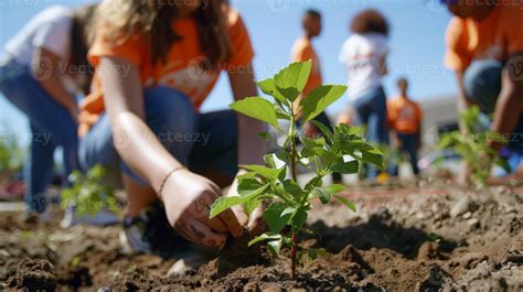 A group of students from a nearby school are seen planting trees around