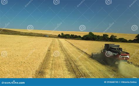 Side View From A Drone Of A Combine Harvester Working In A Wheat Field