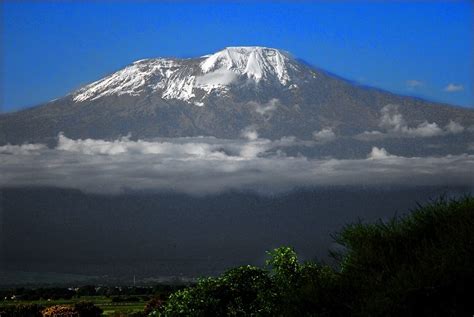 Tanzania - the wildlife capital in East africa | ONA SAFARI