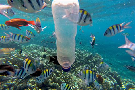 Menagih Peran Para Pihak Tangani Sampah Plastik Di Laut Mongabay Co Id