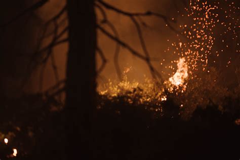 Mosquito Fire Now The Largest In California This Year MyCentralOregon