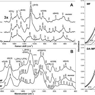 Ft Raman A And Ftir B Spectra Of Native Mekabu Fucoidan Mf And