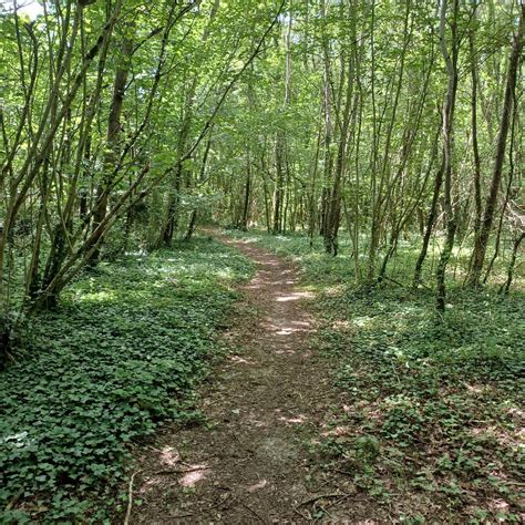 Charente Maritime Rando VTT Mazeray Fenioux