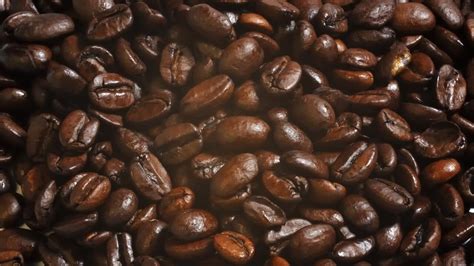 Where Do Coffee Beans Come From Coffeenatics