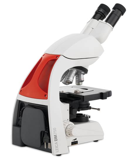 Dm Binocular Fluorescence Capable Microscope For Postdocs In The