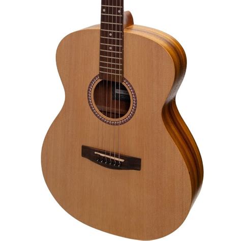 Acoustic Guitars: Steel String, Nylon String, Acoustic-Electric & More ...