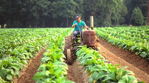 La Agroecolog A En Tiempos Del Covid Clacso