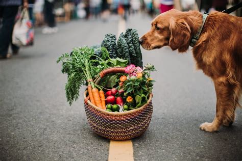 Duncan Farmers' Market | Tourism Cowichan