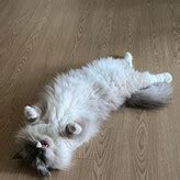 Hinachan Nude OnlyFans Leaks Fappening FappeningBook