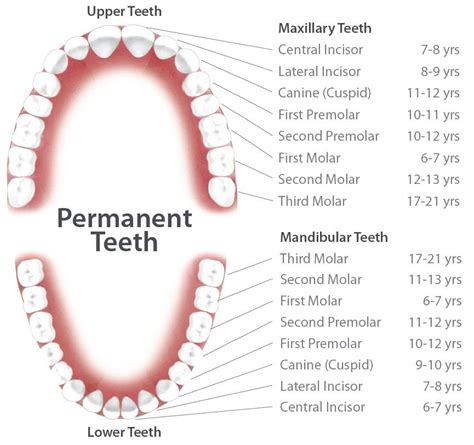 W Mendon NY, Mendon Family Dental