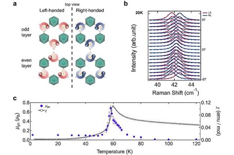 Study Uncovers Giant Fluctuation Enhanced Phonon Magnetic Moments In A