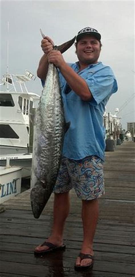 King Mackerel Fishing | Fish Destin | King Mackerel Facts | Charter ...