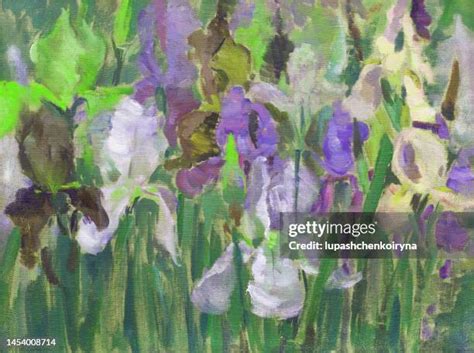 Iris Texture Photos and Premium High Res Pictures - Getty Images