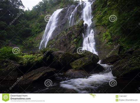 Cascada En El Bosque Profundo Natural Imagen De Archivo Imagen De