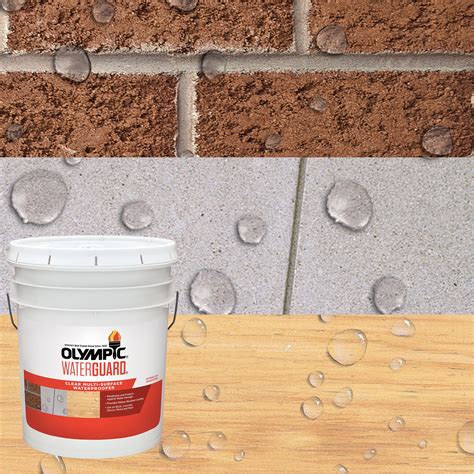 Olympic WaterGuard 5 Gallons Clear Multi-Surface Exterior Waterproofing