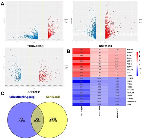 Frontiers Identification And Validation Of Rab GTPases RAB13 As