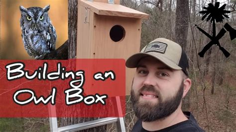 Build A Screech Owl Nesting Box From A Cedar Board Hobby 51 Off