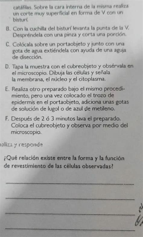 S Lo Para Genios Ayudaaa Por Fa Es Para En Minutos Es De La C Lula