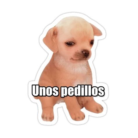 Unos Pedillos Meme Sticker For Sale By Fomodesigns Memes Meme