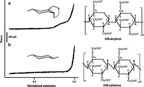 Primary Structures Of Cm Amylose And Cm Cellulose And The Comparison Of Download Scientific