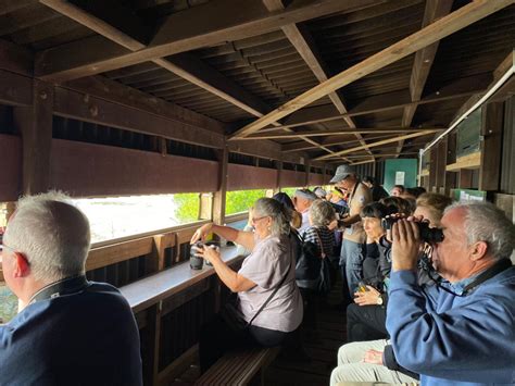 Royal Geographical Society Hong Kong Rgs Hk Field Trip Guided Tour