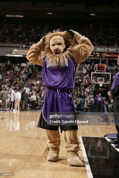 Sacramento Kings mascot, Slamson, gets ready to watch the Sacramento ...