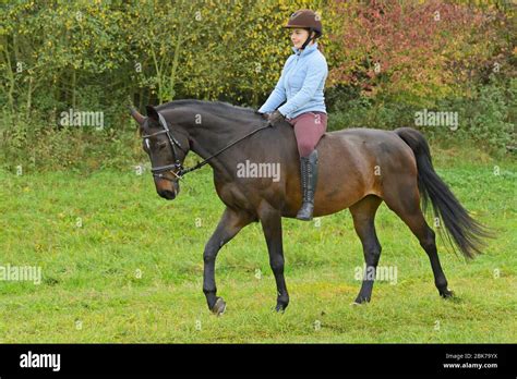 Bareback Ride Hi Res Stock Photography And Images Alamy
