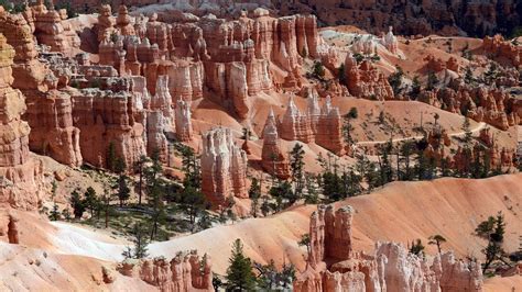 Rozświetlone słońcem czerwone skały w Parku Narodowym Bryce Canyon