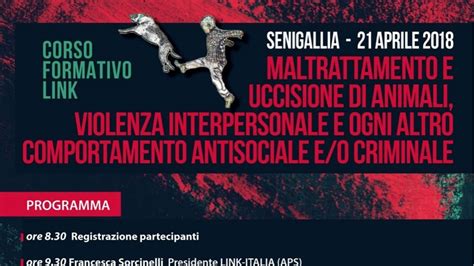 Maltrattamento animali e pericolosità sociale al via la giornata