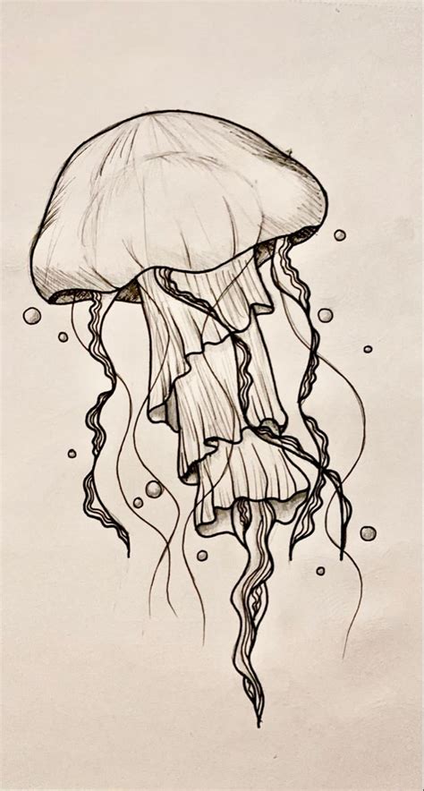 Jellyfish | Book art drawings, Jellyfish art drawing, Art drawings simple