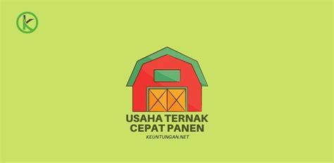 5 Usaha Ternak Paling Cepat Panen Dan Menguntungkan Keuntungan Net