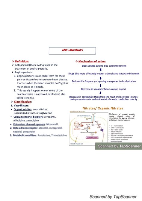 SOLUTION: Antianginal drugs mechanism medicinal chemistry - Studypool