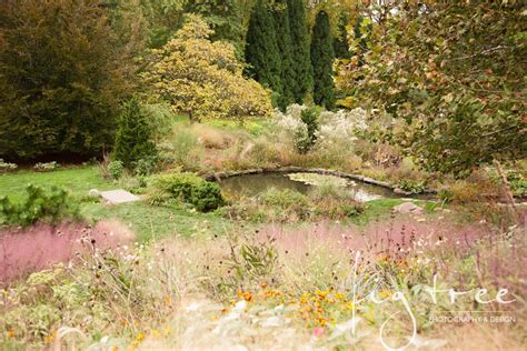 Fall at Chanticleer Garden - Patricia Figurski Portraits