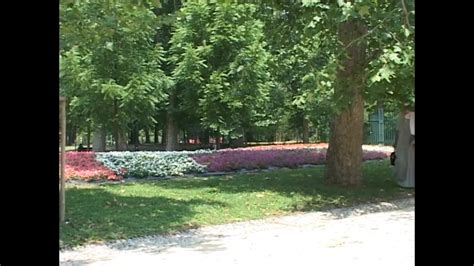 Cute Porn Videos XHamster