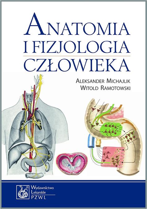 Anatomia I Fizjologia Czlowieka Amazon Co Uk Ramotowski Witold