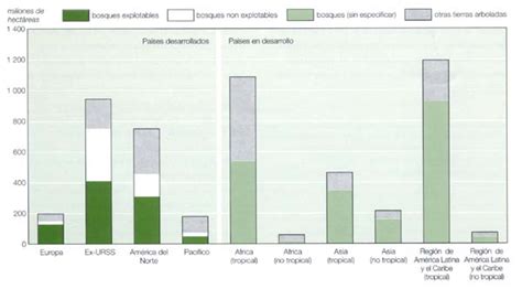 Situaci N De Los Bosques Del Mundo