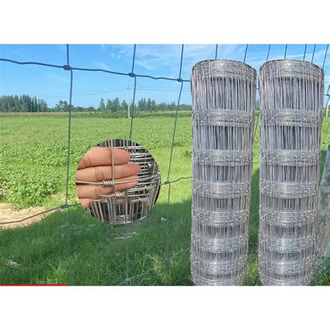 Gricultural Wire Mesh Hot Dip Galvanized Cattle Fence Goat Farm Fence